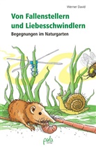 Karin Bauer, Werner David, Karin Bauer, Karin Ill. v. Bauer, Kari Umschlaggest. v. Bauer - Von Fallenstellern und Liebesschwindlern