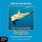 Sergio Bambaren, Markus Hoffmann, Markus Sprecher: Hoffmann - Der träumende Delphin, 1 Audio-CD (Livre audio)