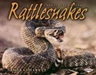 Sandra Markle - Rattlesnakes