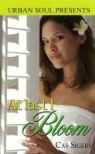 Cas Sigers - At Last I Bloom