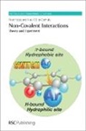 Pavel Hobza, Pavel (Academy of Sciences of the Czech Rep Hobza, Pavel (Academy of Sciences of the Czech Republic Hobza, Pavel Muller-Dethlefs Hobza, Klaus M. Ller-Dethlefs, Klaus Ma1/4ller-Dethlefs... - Non-Covalent Interactions