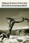 Ray Jones, Joe Lubow - It Happened in Yosemite National Park