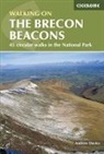 Andrew Davies, Andrew Whittaker Davies, Andy Davies, Andy Whittaker Davies, David Whittaker - Walking on the Brecon Beacons