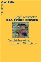 Josef Wiesehöfer - Das frühe Persien