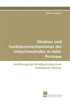 Steffen Augustin - Struktur und Funktionsmechanismus der mitochondrialen m-AAA-Protease