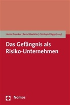 Christoph Flügge, Jörg Geibert, Wolfgang Gratz, Jürgen Hillmer, Eduard Matt, Johannes Sandmann... - Das Gefängnis als Risiko-Unternehmen