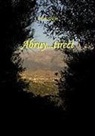 Arab Sekhi - Abruy...tirect