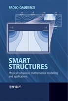 Paolo Gaudenzi, Gaudenzi Paolo - Smart Structures