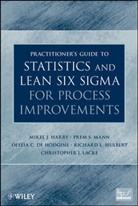 de Hodgins, Ofelia de Hodgins, Ofelia C de Hodgins, Ofelia C et De Hodgins, Ofelia C. De Hodgins, HARRY... - Practitioner s Guide to Statistics and Lean Six Sigma for Process