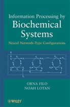 Filo, O Filo, Orn Filo, Orna Filo, Orna Lotan Filo, Orna/ Lotan Filo... - Information Processing By Biochemical Systems