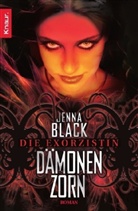Jenna Black, Jenna C. Black - Dämonenzorn