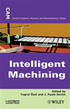 J Paulo Davim, J. Paulo Davim, Paulo Davim, OZEL, T Ozel, Tugru Ozel... - INTELLIGENT MACHINING CAM CONTROLS SYSTE