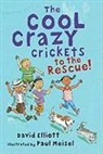 David Elliott, David/ Meisel Elliott, Paul Meisel, Paul Meisel - The Cool Crazy Crickets to the Rescue
