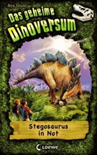 Rex Stone, Mike Spoor, Loewe Kinderbücher - Das geheime Dinoversum - Stegosaurus in Not