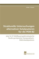 Ulrike I Kramm, Ulrike I. Kramm - Strukturelle Untersuchungen alternativer Katalysatoren für die PEM-BZ