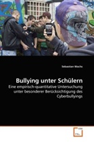 Sebastian Wachs - Bullying unter Schülern