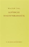 Walter Till, Walter C Till, Walter C. Till - Koptische Dialektgrammatik