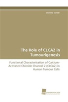 Daniela Scheer - The Role of CLCA2 in Tumourigenesis