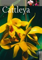 Bärbel Röth, Jürge Röth, Jürgen Röth - Cattleya