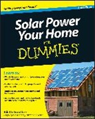 R DeGunther, Rik Degunther, DeGunther Rik - Solar Power Your Home for Dummies