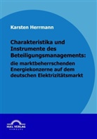 Karsten Herrmann - Charakteristika und Instrumente des Beteiligungsmanagements, die marktbeherrschenden Energiekonzerne auf dem deutschen Elektrizitätsmarkt