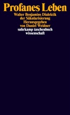 Danie Weidner, Daniel Weidner - Profanes Leben