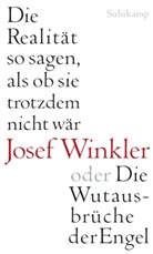 Josef Winkler - Die Realität so sagen, als ob sie trotzdem nicht wär oder Die Wutausbrüche der Engel
