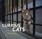 Mitsuaki Iwago, Iwago Mitsuaki - Curious Cats