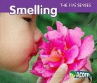 Rebecca Rissman - Smelling