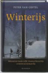 Peter van Gestel - Winterijs