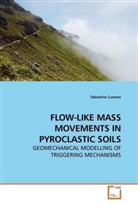 Sabatino Cuomo - FLOW-LIKE MASS MOVEMENTS IN PYROCLASTIC SOILS