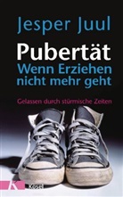 Jesper Juul, Mathia Voelchert, Mathias Voelchert - Pubertät - Wenn Erziehen nicht mehr geht