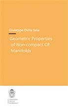 Giuseppe Della Sala, Giuseppe Sala, Giuseppe Della Sala - Geometric properties of non-compact CR manifolds