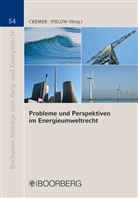 Wolfram Cremer, Johann-Christian Pielow, Wolfram Cremer, Johann C. Pielow, Johann-Christian Pielow - Probleme und Perspektiven im Energieumweltrecht