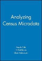 Dale, Angela Dale, Angela Fieldhouse Dale, DALE ANGELA FIELDHOUSE ED HOLDSW, Ed Fieldhouse, Claire Holdsworth - Analyzing Census Microdata