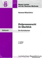 Karl E. Hemmer, Bernd Ulrici, Achim Wüst - Zivilprozessrecht im Überblick