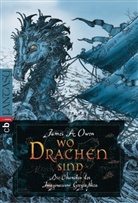 James A. Owen - Wo Drachen sind