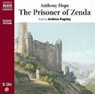 Anthony Hope, Andrew Pugsley - Prisoner of Zenda (Hörbuch)