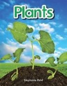Stephanie Reid, Jodene Lynn Smith - Plants