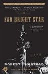 Robert Olmstead - Far Bright Star