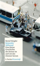 Bernd Stiegler - Reisender Stillstand