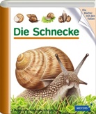Pierre de Hugo - Die Schnecke