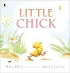 Amy Hest, Anita Jeram - Little Chick