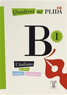 Ciro Massimo Naddeo - Quaderni del PLIDA - Niveau.B1: Quaderni del PLIDA: Niveau B1 Übungsbuch, mit Audio-CD