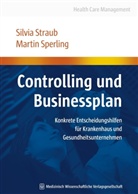 Sperling, Martin Sperling, Strau, Silvi Straub, Silvia Straub - Controlling und Businessplan