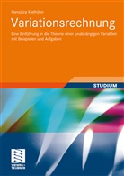 Hansjörg Kielhöfer - Variationsrechnung