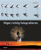 Bill Coster, Simon Papps - Vögel richtig fotografieren