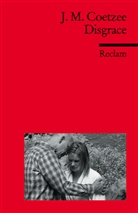 J. M. Coetzee, Arthu Kutsch, Arthur Kutsch - Disgrace. (Fremdsprachentexte)