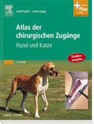 Franc, Jordi Franch, Lopez, Carlos Lopez - Atlas der chirurgischen Zugänge