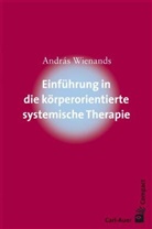 Andras Wienands, András Wienands - Einführung in die körperorientierte systemische Therapie